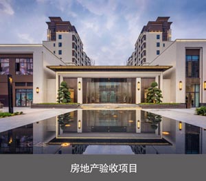 两层简易式机械式向日葵视频污下载设备房地产验收项目